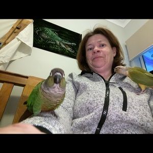 Meet your Posher, Karen